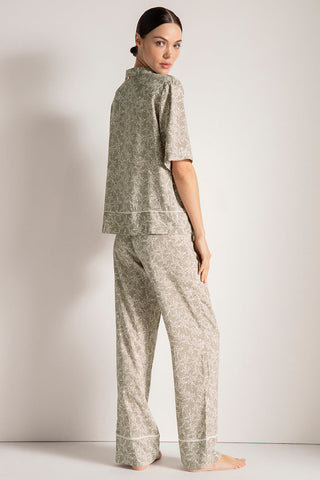 Camisa manga corta, Color Estampado