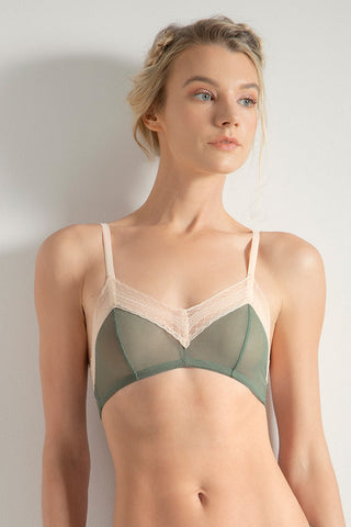 Brasier Triangular