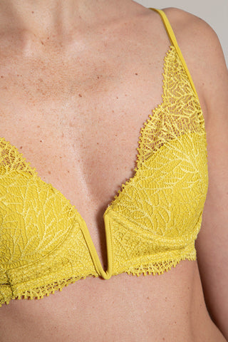 Brasier clásico con copa pequeña y aro, Color Amarillo